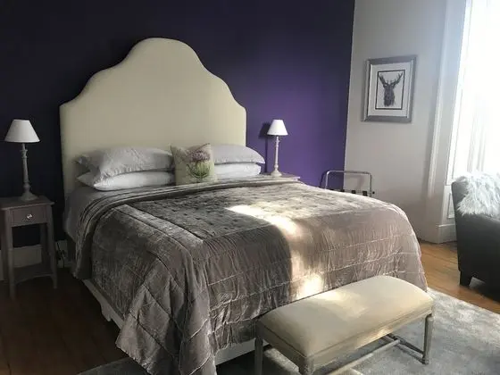 Tek Büyük Yataklı Oda, 1 En Büyük (King) Boy Yatak (Thistle Room)