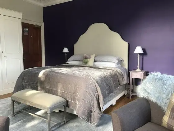 Tek Büyük Yataklı Oda, 1 En Büyük (King) Boy Yatak (Thistle Room)