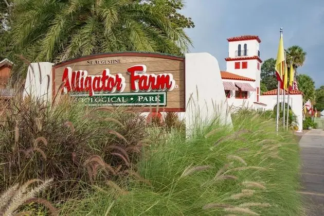 Daire (Mermaid Beach House)