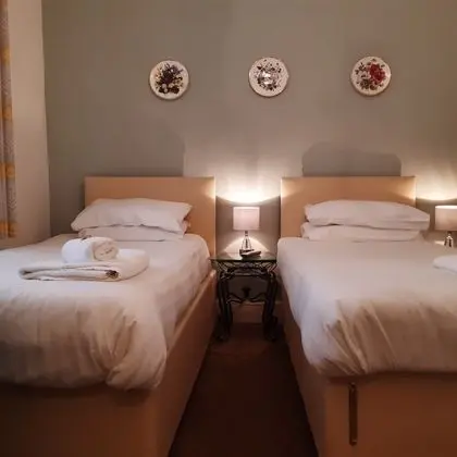 Standard Tek Büyük veya İki Ayrı Yataklı Oda, 2 Tek Kişilik Yatak