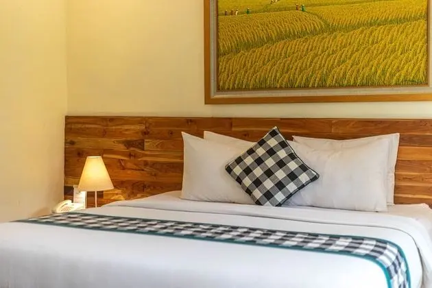 Deluxe Tek Büyük veya İki Ayrı Yataklı Oda