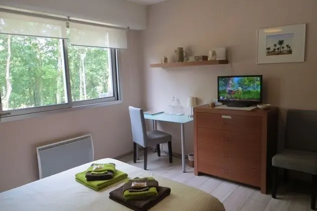 Comfort Tek Büyük Yataklı Oda, Ortak Banyo, Park Manzaralı (Les Tamaris)