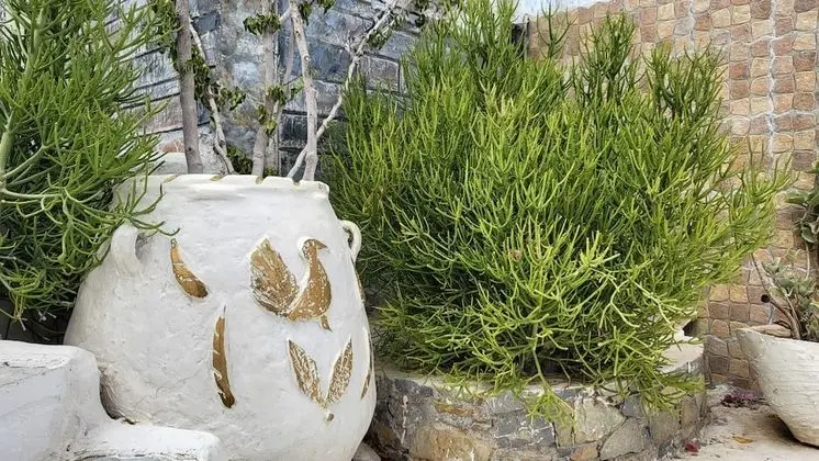 Apart Daire, 2 Yatak Odası, Balkon