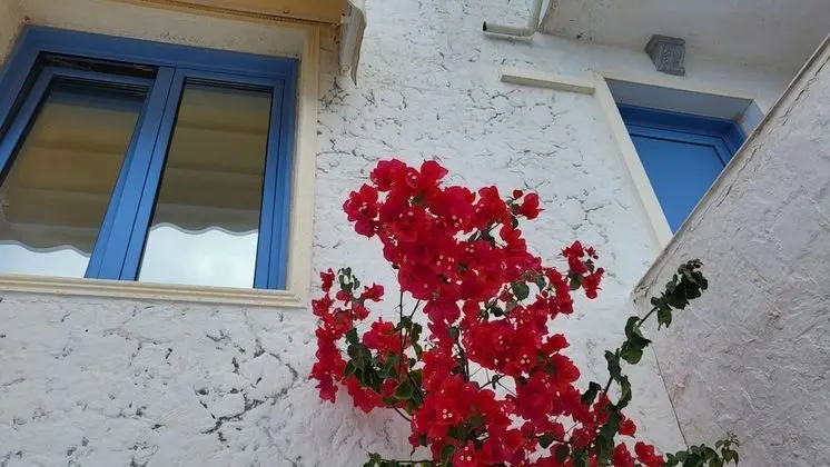Apart Daire, 2 Yatak Odası, Balkon