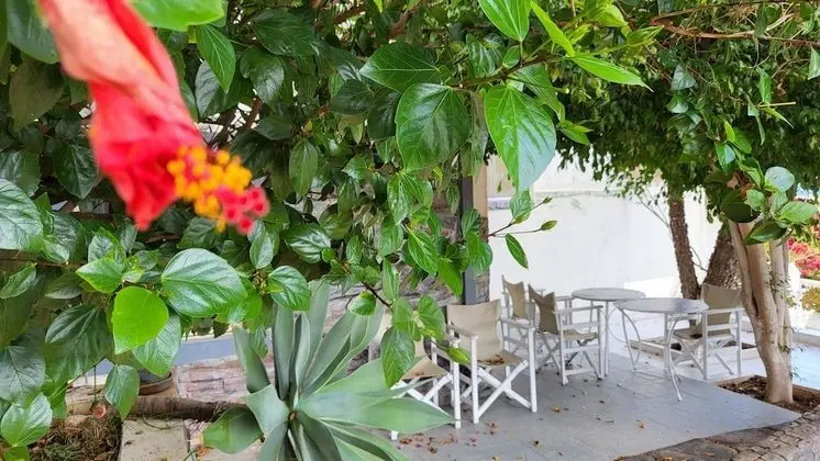 Apart Daire, 2 Yatak Odası, Balkon