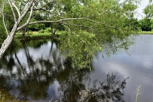 Ev (Mesquite Creek Farmhouse)