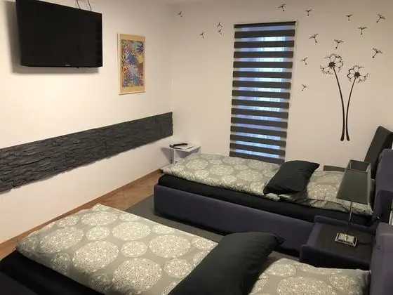 Tek Büyük Yataklı Oda, Banyolu/Duşlu (Zweibettzimmer)