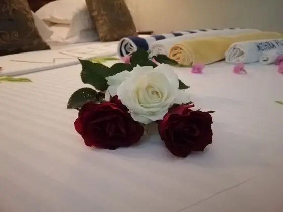 Deluxe Tek Büyük veya İki Ayrı Yataklı Oda, 2 Yatak Odası, Bahçe Manzaralı