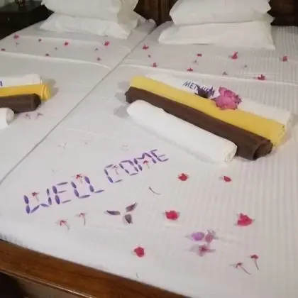 Deluxe Tek Büyük veya İki Ayrı Yataklı Oda, 2 Yatak Odası, Bahçe Manzaralı