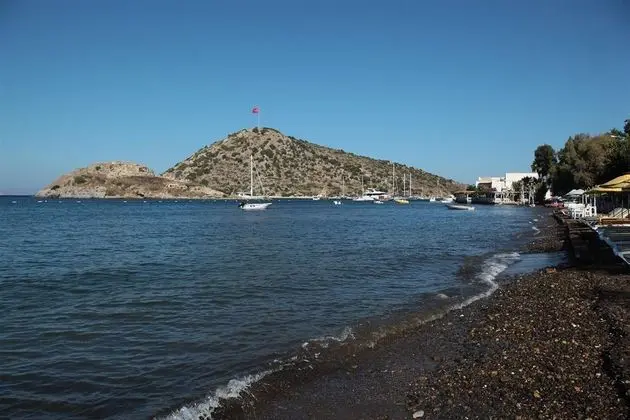 Geniş Oda - Deniz ve Havuz Manzaralı