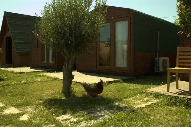 Bungalov