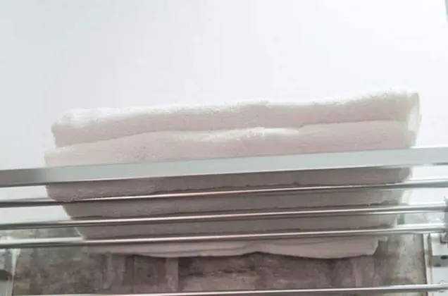 Superior Tek Büyük Yataklı Oda, 1 Çift Kişilik Yatak, Özel Banyo