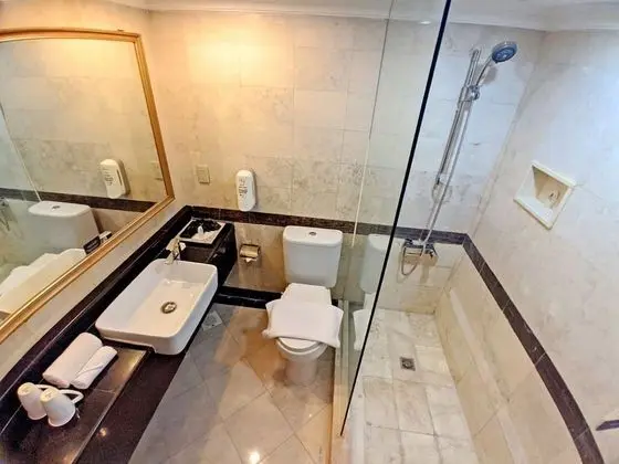 Executive Tek Büyük Yataklı Oda