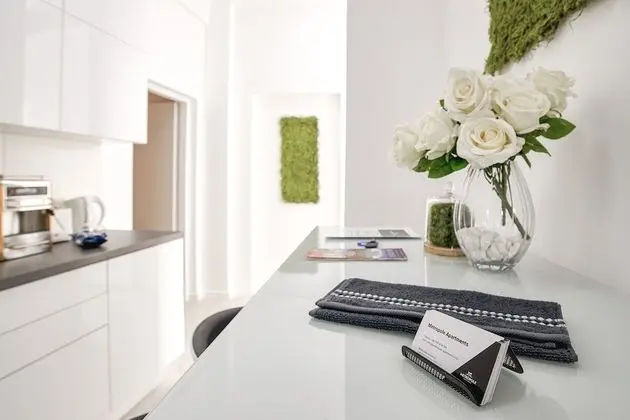 Deluxe Apart Daire, Şehir Manzaralı