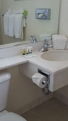 Süit