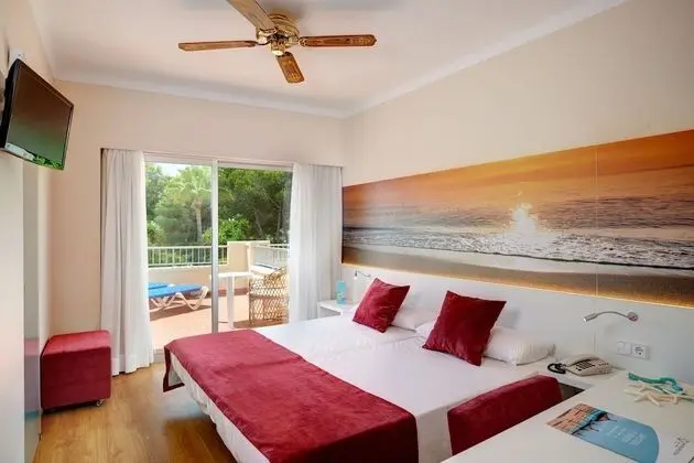 Tek Büyük Yataklı Oda, Balkon (Solarium)