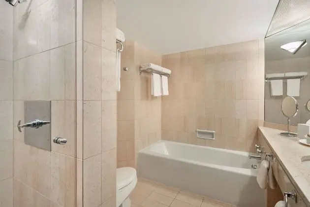 Süit, 1 Yatak Odası, Balkon, Şehir Manzaralı
