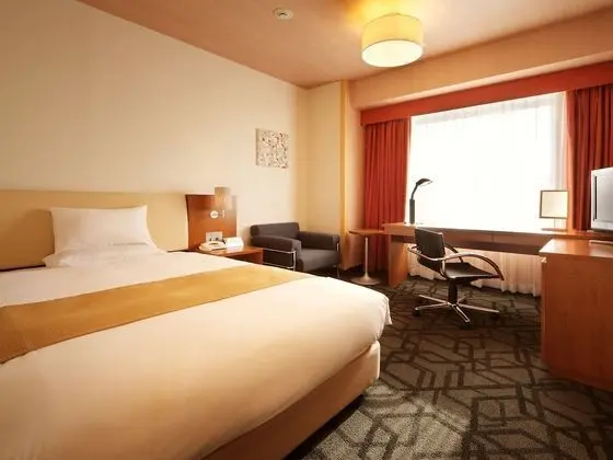 Deluxe Tek Kişilik Oda, 1 Yatak Odası, Sigara İçilmez, Şehir Manzaralı