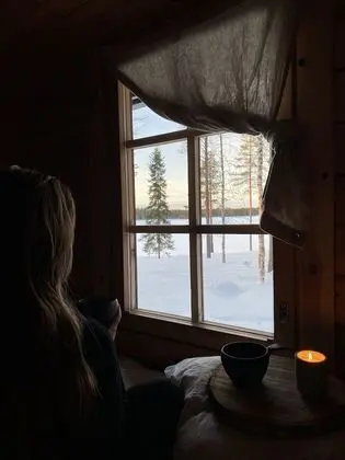 Panoramic Kulübe (Metsa Kolo M2)