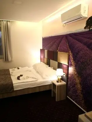 Superior Tek Büyük veya İki Ayrı Yataklı Oda