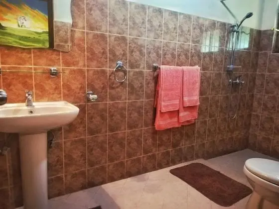 Deluxe Tek Büyük veya İki Ayrı Yataklı Oda, Balkon, Dağ Manzaralı