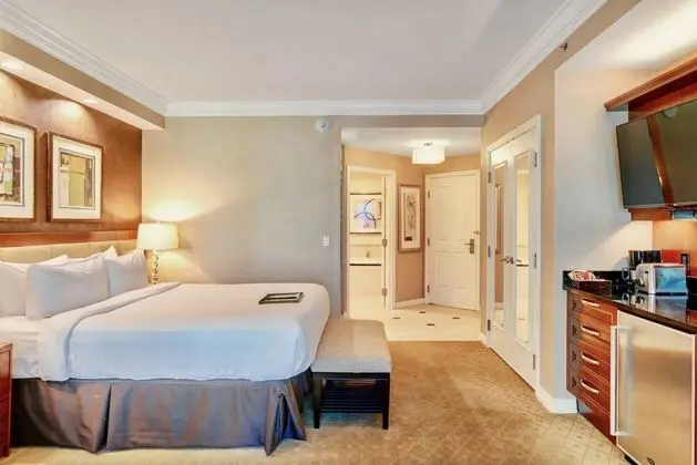 Deluxe Stüdyo Süit, 1 En Büyük (King) Boy Yatak ve Çekyat, Balkon, Şehir Manzaralı