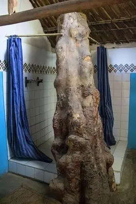 Deluxe Tek Büyük Yataklı Oda, Göl Manzaralı