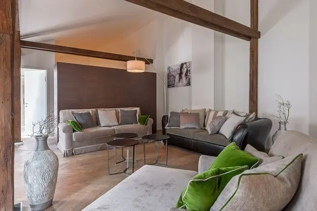 Çatı Katı (Loft)