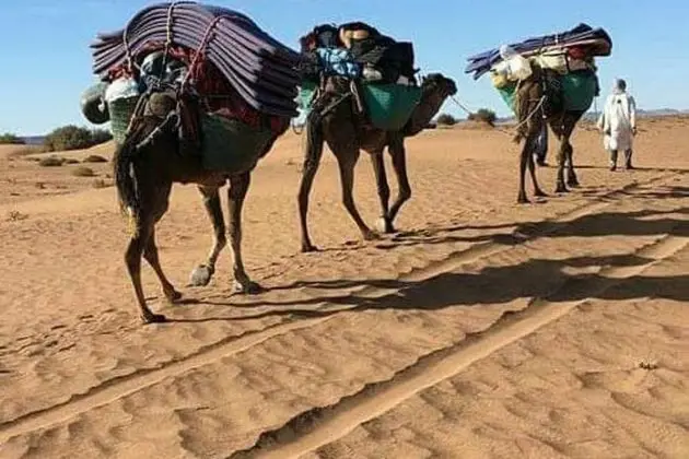 Basic Çadır, 1 Çift Kişilik veya 2 Tek Kişilik Yatak