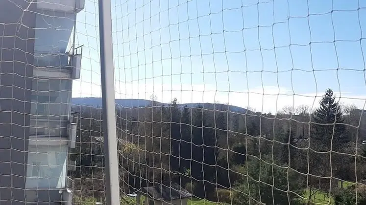 Tek Büyük Yataklı Oda, 1 Çift Kişilik Yatak, Ortak Banyo (Balcony, '1')