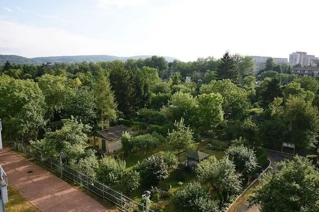 Tek Büyük Yataklı Oda, 1 Çift Kişilik Yatak, Ortak Banyo (Balcony, '1')