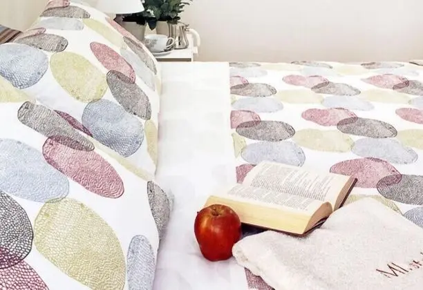 Tek Büyük veya İki Ayrı Yataklı Oda, Özel Banyo