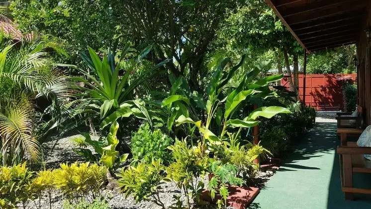 Deluxe Üç Kişilik Oda, 1 Yatak Odası, Bahçeli