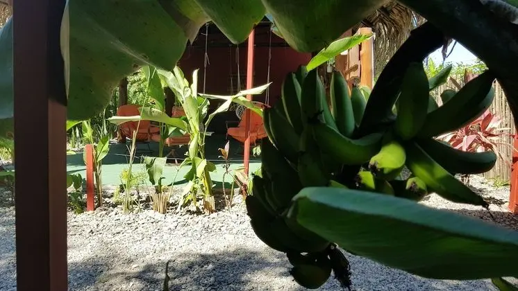 Deluxe Üç Kişilik Oda, 1 Yatak Odası, Bahçeli