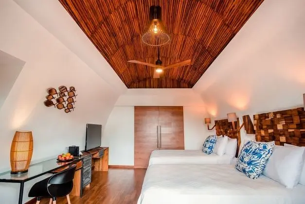 Luxe Saasil Room
