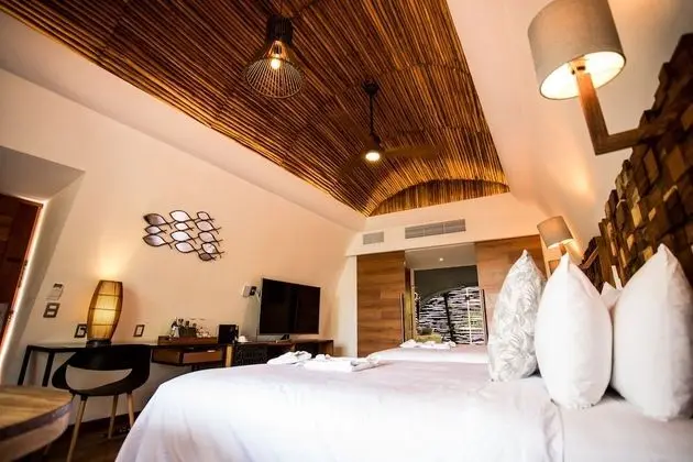 Luxe Saasil Room