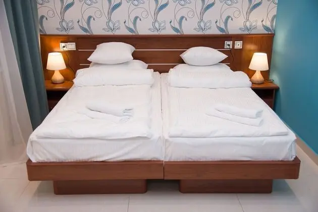 Large Double or Twin Room
