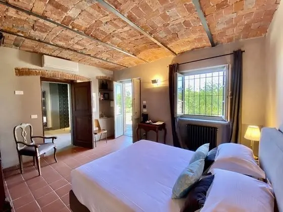 Double, vineyard view