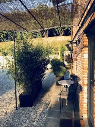 Double, vineyard view