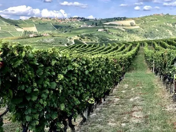 Romantic Junior Suite, vista vigneti