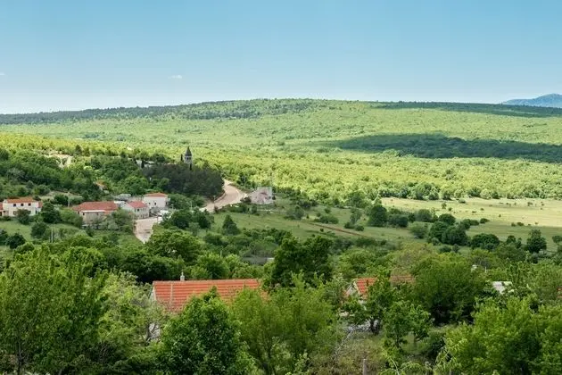 Villa (Four Bedroom Villa)