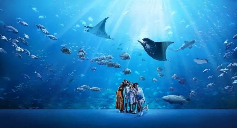 Deluxe Oda (Free Attraction Tickets for 2 Adults)