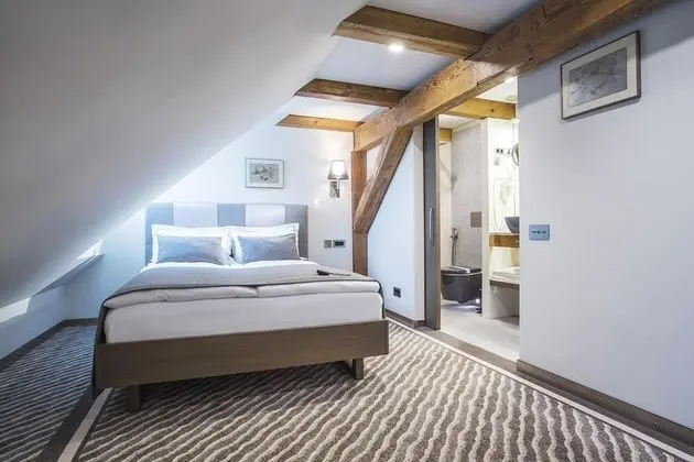Standard Tek Kişilik Oda, 1 Büyük (Queen) Boy Yatak (attic)