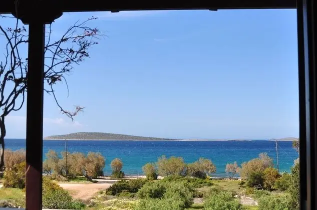Superior Apart Daire, 2 Yatak Odası, Okyanus Manzaralı, Plaj Kenarı