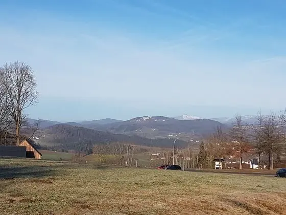 Comfort Tek Kişilik Oda (Einzelzimmer)