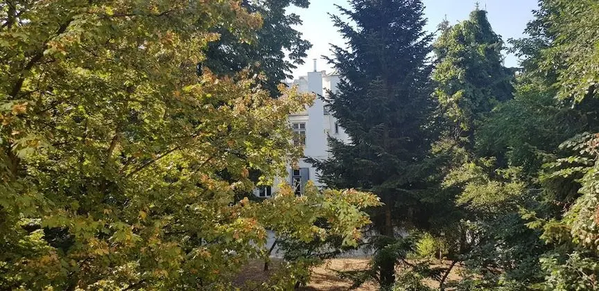 Standard Tek Büyük Yataklı Oda, 1 En Büyük (King) Boy Yatak