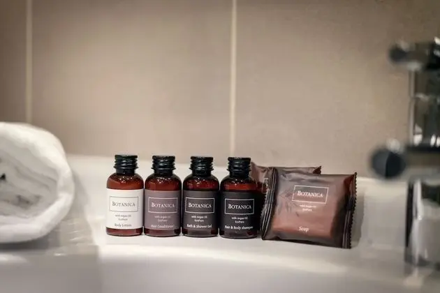Deluxe Tek Büyük veya İki Ayrı Yataklı Oda