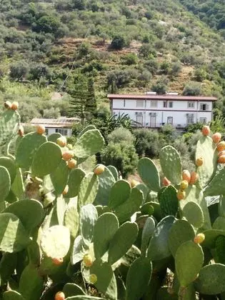 Oda, 2 Yatak Odası, Sigara İçilebilir, Buzdolabı