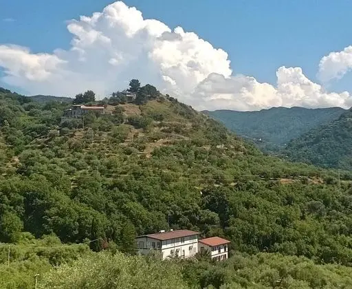 Oda, 2 Yatak Odası, Sigara İçilebilir, Buzdolabı