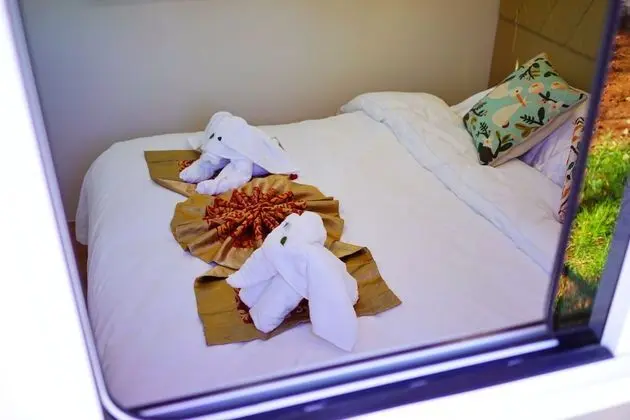 Luxury Dört Kişilik Oda